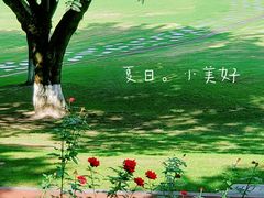 -重庆中央公园(渝北区)
