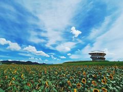 -光明小镇欢乐田园