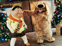 -奥兰多迪士尼动物王国乐园