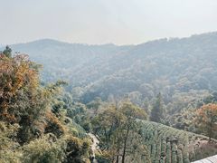-安吉涵田度假村·水榭居中餐厅