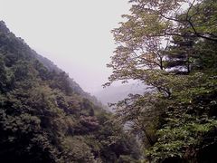 -王顺山国家森林公园