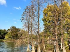 -海珠湖公园