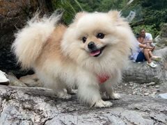 -西岭雪山大飞水景区