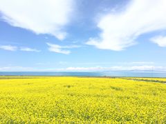 -青海湖国家重点风景名胜区