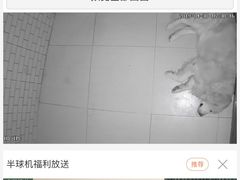 -趣玩宠物乐园寄养训犬训狗游泳池