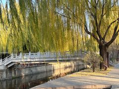 -元大都城垣遗址公园