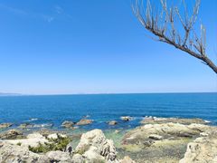 -养马岛旅游度假区