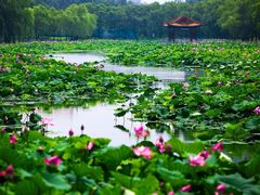 -南戴河国际娱乐中心