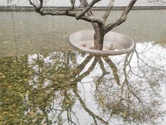 -静安雕塑公园