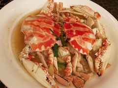 -上海安亭别墅花园酒店