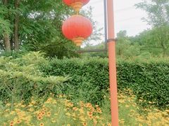 -汤山温泉房车营地 茶温泉