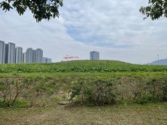-光明小镇欢乐田园
