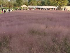 -汉长安城未央宫国家考古遗址公园