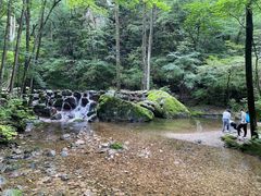 -牛背梁国家森林公园