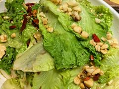 -九道菜(珠晖万达店)