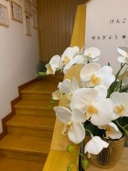 -宥莉·ULLY 痘敏肌•科技皮肤管理中心
