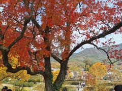 -塔川景区