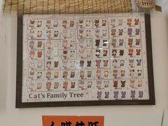 -楼上猫咖(罗湖店)