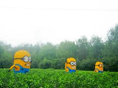 -白塔湖国家湿地公园