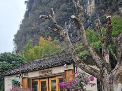 -村上春树
