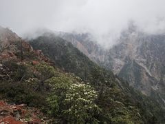-九峰山