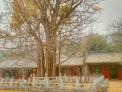 -潭柘寺景区