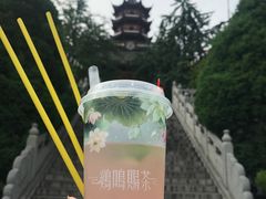 -鸡鸣赐茶(鸡鸣寺路店)