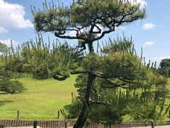 -水前寺成趣园