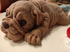 -富侨养生(光大会展店)