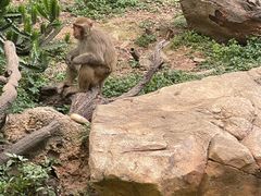 -广州长隆野生动物世界