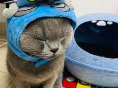 -KKV(深圳宏发大仟里店)