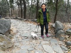 -阳台山自然风景区