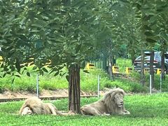 -秦皇岛野生动物园