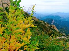 -白草畔自然风景区