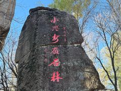-汤旺河林海奇石景区