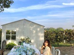 -安德鲁户外烧烤帐篷营地(马泉营店)