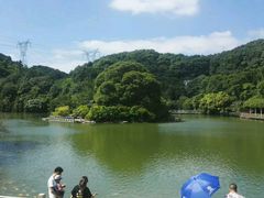 -广州市帽峰山景区