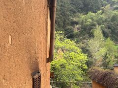 -杨家堂村
