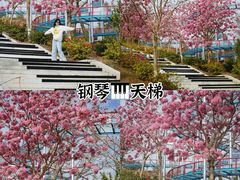 -盈香心动乐园