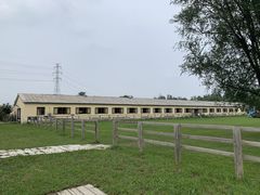 -北京群众马术培训基地