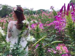 -松山湖梦幻百花洲