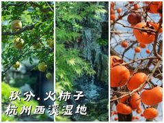 -西溪国家湿地公园