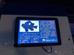 -蓬莱欧乐堡海洋极地世界