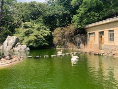 -昆明动物园