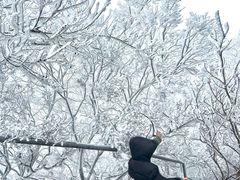 -紫金山山顶公园