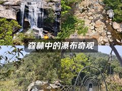 -海南热带雨林国家公园吊罗山景区