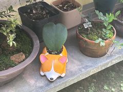 -茶米人台湾料理·精致快简餐