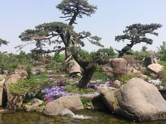 -罗红摄影艺术馆