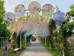 -上海长兴岛郊野公园