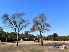 -上海吴淞炮台湾国家湿地公园